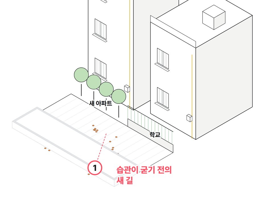 C구역 유형 「습관이 굳기 전의 새 길」 예시도. 학교와 단지 사이 길에서 쓰레기가 모인 모습을 선으로 그렸다